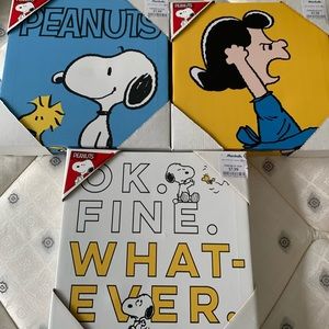 Peanuts canvas paintings!